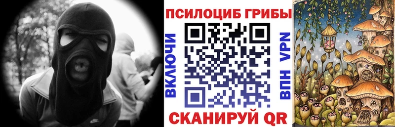 Псилоцибиновые грибы Psilocybe  OMG сайт  Болхов 